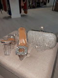 Silver Glass Pumps